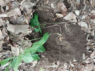 김봉호님의 작성글 사진