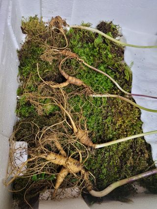 김봉호님의 작성글 사진