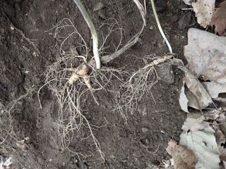 김봉호님의 작성글 사진