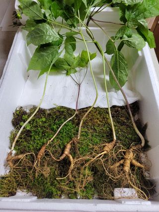 김봉호님의 작성글 사진