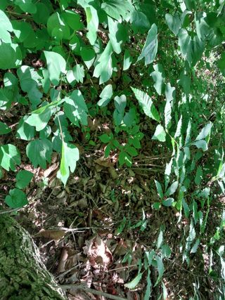 김봉호님의 작성글 사진