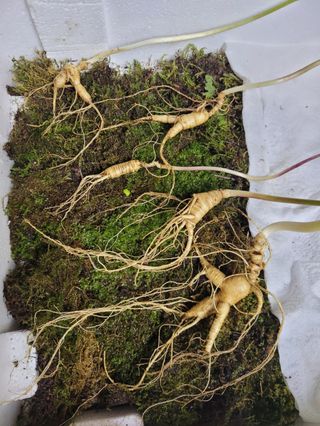 김봉호님의 작성글 사진