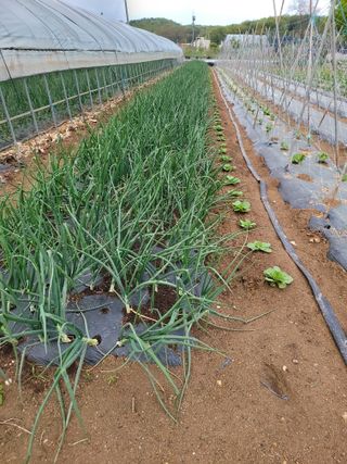 황병호님의 작성글 사진