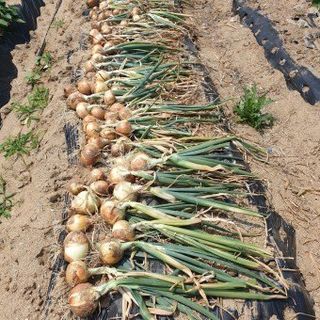 황병호님의 작성글 사진