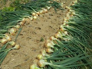 황병호님의 작성글 사진