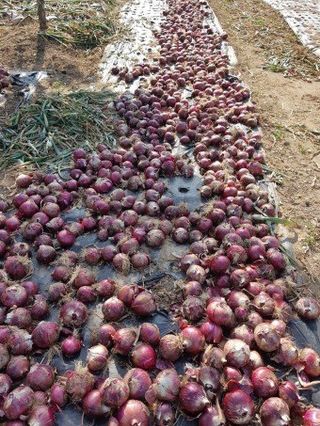 황병호님의 작성글 사진