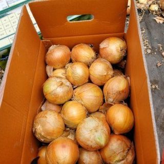 황병호님의 작성글 사진