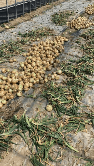 황병호님의 작성글 사진