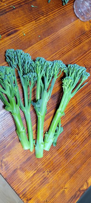 채경희님의 기타작물 · 자유게시판 작성글 사진