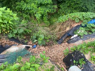 임태묵님의 장마 대비 어떻게 하셨나요? · 참여 작성글 사진