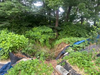 임태묵님의 장마 대비 어떻게 하셨나요? · 참여 작성글 사진