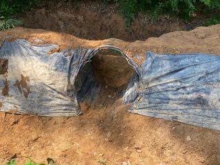 임태묵님의 장마 대비 어떻게 하셨나요? · 참여 작성글 사진