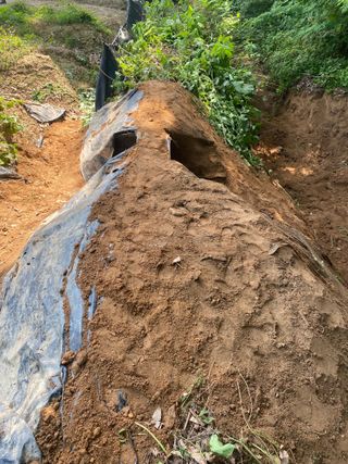 임태묵님의 장마 대비 어떻게 하셨나요? · 참여 작성글 사진