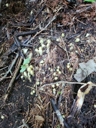 장기수님의 자유주제 · 자유게시판 작성글 사진