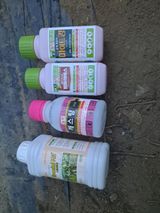 팜모닝 포도·영농일지 게시글 이미지