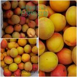 팜모닝 기타작물·자유게시판 게시글 이미지