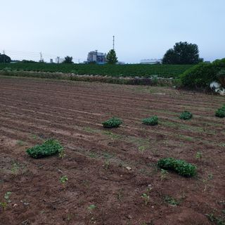 김영준님의 자유주제 · 자유게시판 작성글 사진