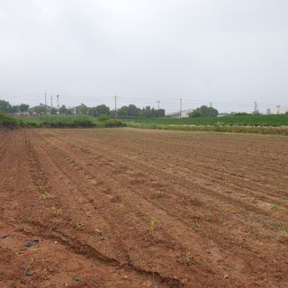 김영준님의 자유주제 · 자유게시판 작성글 사진