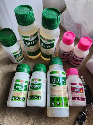 김종포님의 감 · 영농일지 작성글 사진