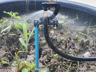 포깅농자재님의 작성글 사진