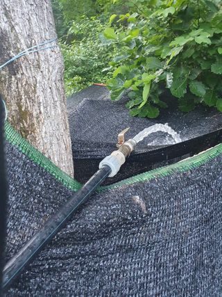 강릉농업귀신님의 두릅 · 영농일지 작성글 사진