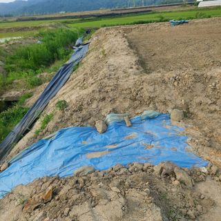 박정화님의 장마 대비 어떻게 하셨나요? · 참여 작성글 사진