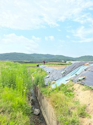 박정화님의 장마 대비 어떻게 하셨나요? · 참여 작성글 사진