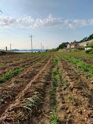 남재영님의 장마 대비 어떻게 하셨나요? · 참여 작성글 사진