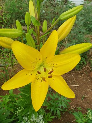 주옥님의 자유주제 · 자유게시판 작성글 사진