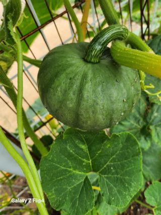 방미용님의 자유주제 · 건의해요 작성글 사진