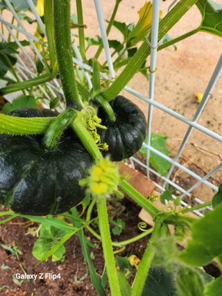 방미용님의 자유주제 · 건의해요 작성글 사진