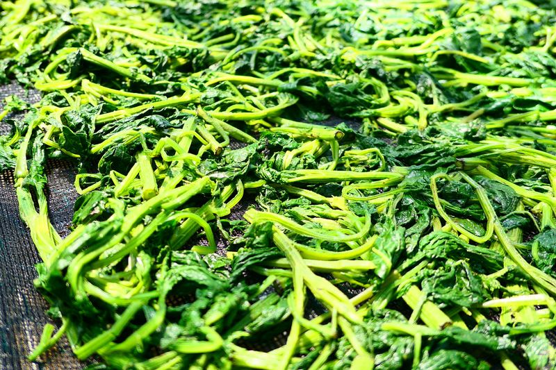 정선농가 달성마켓님의 장터 판매 상품 [정선 반건조 꾸들이 곤드레 500g] 첨부 사진