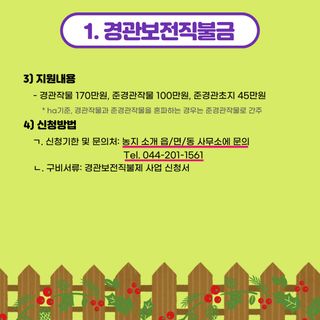 팜모닝 농사지식님의 마늘 · 일상 작성글 사진