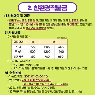 팜모닝 농사지식님의 마늘 · 일상 작성글 사진