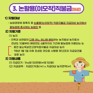 팜모닝 농사지식님의 마늘 · 일상 작성글 사진