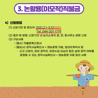팜모닝 농사지식님의 마늘 · 일상 작성글 사진