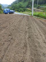 팜모닝 콩·자유게시판 게시글 이미지