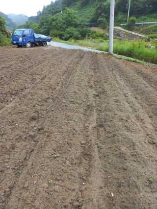 이성수님의 콩 · 자유게시판 작성글 사진