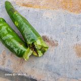 팜모닝 고추·영농일지 게시글 이미지