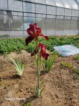 팜모닝 장마 대비 어떻게 하셨나요?·참여 게시글 이미지