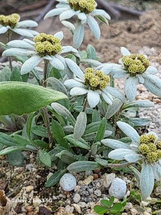 두메농원님의 장마 대비 어떻게 하셨나요? · 참여 작성글 사진