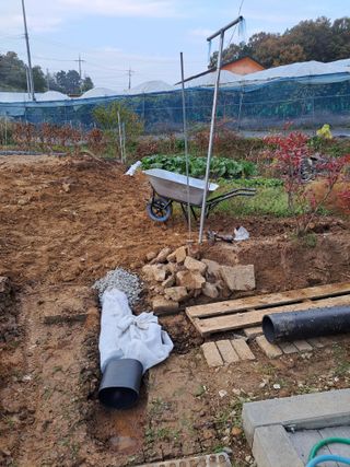 온시디움님의 장마 대비 어떻게 하셨나요? · 참여 작성글 사진