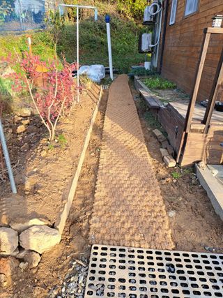 온시디움님의 장마 대비 어떻게 하셨나요? · 참여 작성글 사진