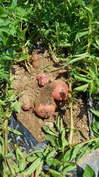 정민지호맘님의 장마 대비 어떻게 하셨나요? · 참여 작성글 사진