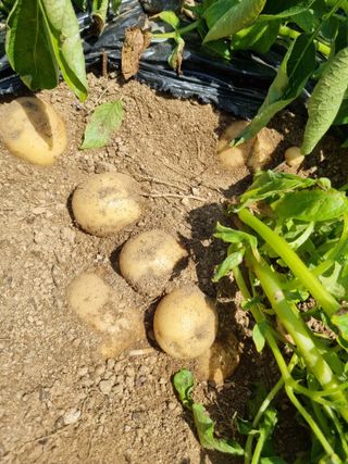 정민지호맘님의 장마 대비 어떻게 하셨나요? · 참여 작성글 사진