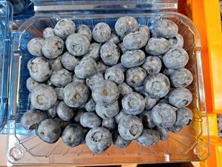 무지개블루베리농장 님의 작성글 사진