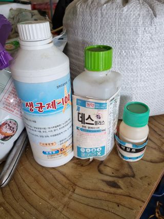 정민지호맘님의 고추 · 영농일지 작성글 사진