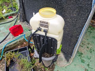 감자10685님의 기타작물 · 영농일지 작성글 사진