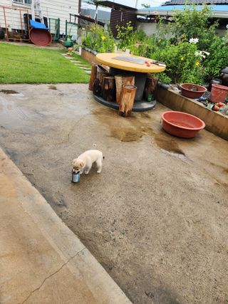 알 수 없음님의 자유주제 · 자유게시판 작성글 사진