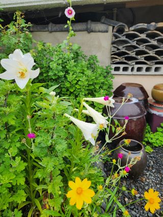 알 수 없음님의 자유주제 · 자유게시판 작성글 사진